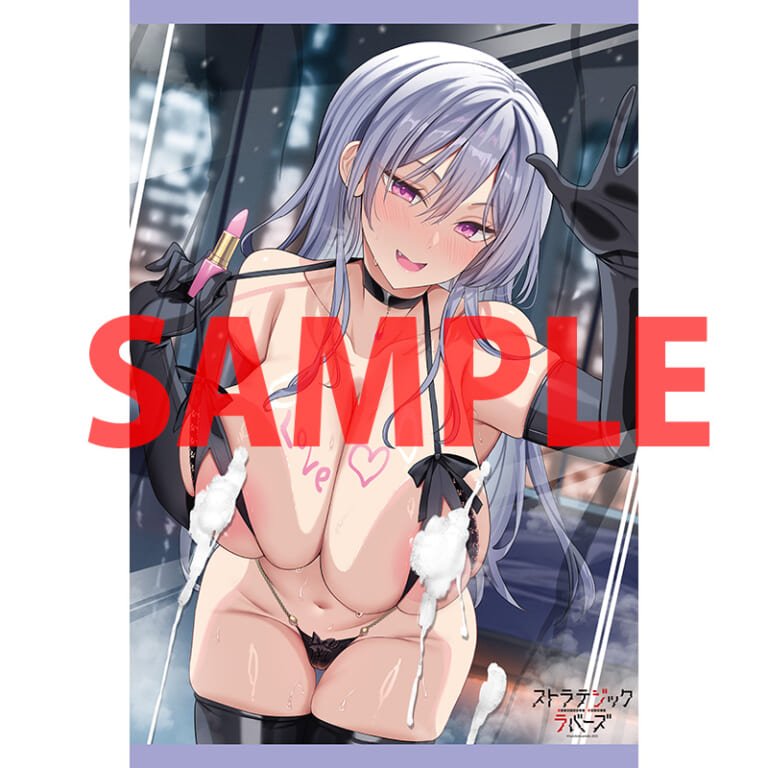 ドラゴンエイジの人気作品「ストラテジックラバーズ」の第10巻が12月9日に発売！とらのあなでは発売を記念して「三色網戸。」先生描き下ろしのB2タペストリー付きとらのあな限定版を発売いたします！