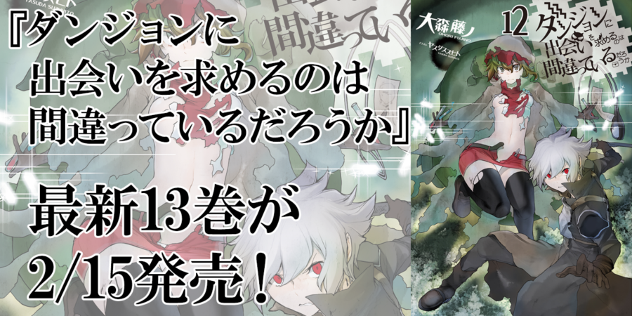 ダンジョンに出会いを求めるのは間違っているだろうか 最新13巻が2月15に発売 とらのあなでは13巻発売にあわせて今巻でもa3タペストリー付きとらのあな限定版を発売します とらのあな総合インフォメーション