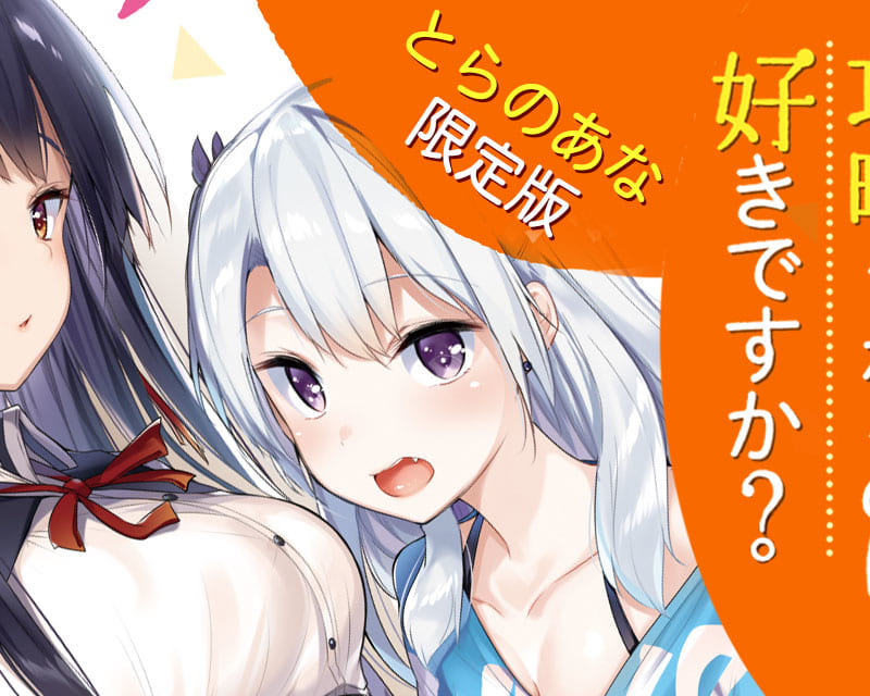 可愛い女の子に攻略されるのは好きですか? 4 メロンブックス限定版 特典 B2タペストリー 