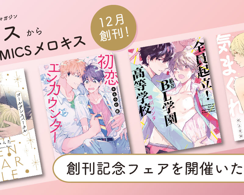 メロマックスのリーフレット