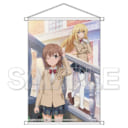 「とある科学の超電磁砲T」の豪華ビジュアルを集めたイラスト集「とある科学の超電磁砲T OFFICIAL VISUAL BOOK 」が2021/3/27に発売！ とらのあなでは発売を記念して「B2タペストリー」付きの限定セットを発売いたします！