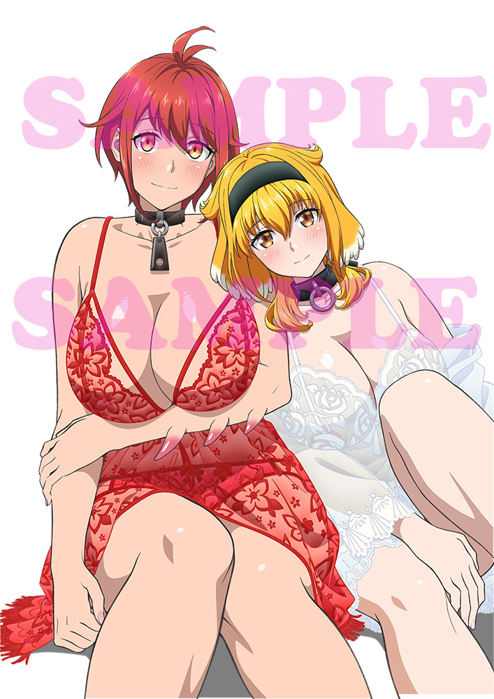 TVアニメ<異世界迷宮でハーレムを>Blu-ray BOX/DVD BOX発売決定