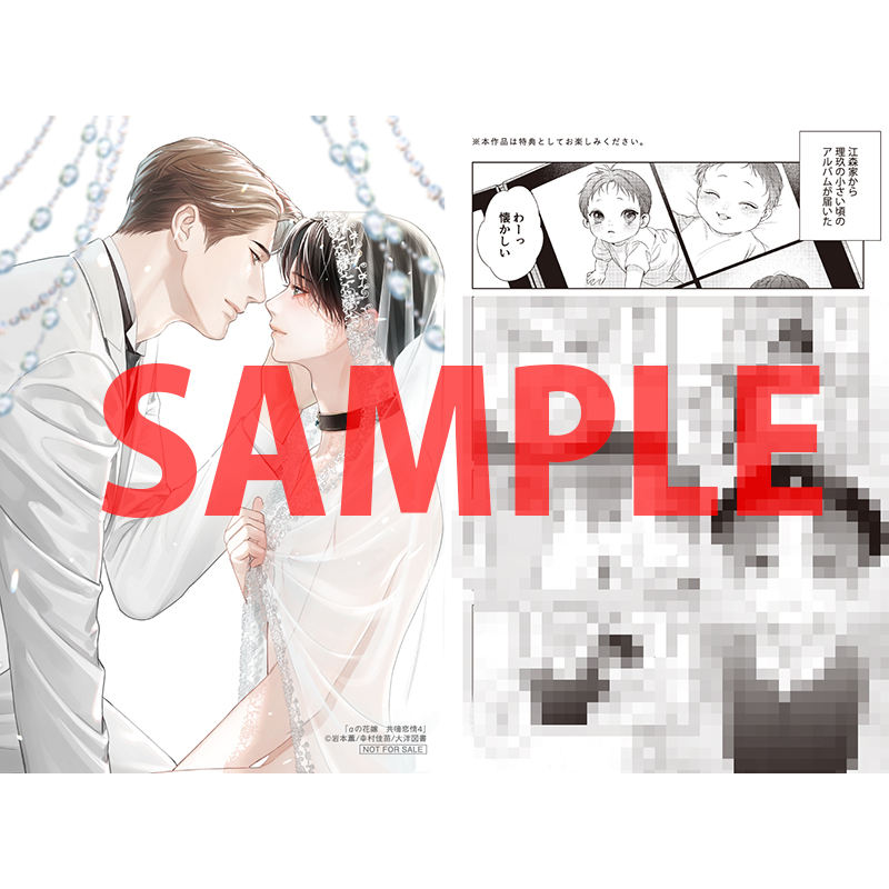 岩本薫先生・幸村佳苗先生『αの花嫁 -共鳴恋情- 4』が11月1日発売 
