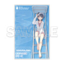 大人気青春ブタ野郎シリーズ『青春ブタ野郎はビーチクイーンの夢を見ない+』が7月10日に発売！ とらのあなでは発売を記念してアクリルプレート付き限定セットを発売いたします！