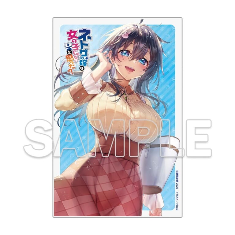 電撃文庫の人気作品「ネトゲの嫁は女の子じゃないと思った？ Lv.24　DLC①」が2月10日に発売！ とらのあなでは発売を記念してアクリルプレート付き限定セットを発売いたします！